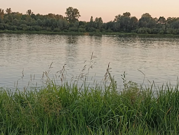 Завтра в регионе потеплеет до +22°С