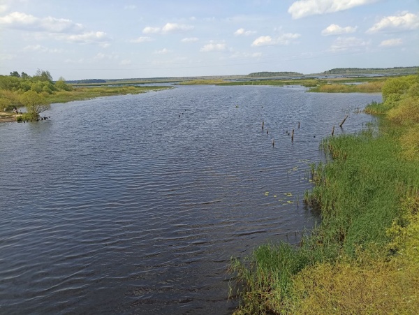 Завтра в регионе ожидается +21°С