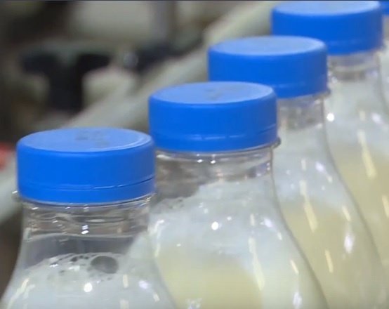За 2022 год в регионе произвели сельхозпродукции на 126 миллиардов рублей