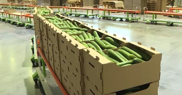В 2022 году в регионе произвели и реализовали пищевых продуктов на 80,6 млрд рублей