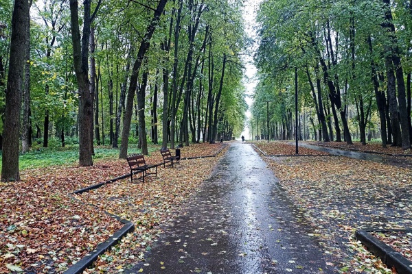 Температура воздуха в Рязани опустится до 0°С