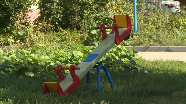 На территорию рязанского детского сада упало дерево