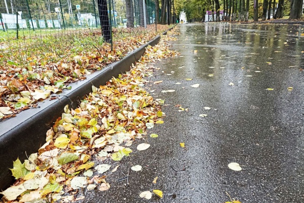 Завтра днем воздух в регионе прогреется до +8°С