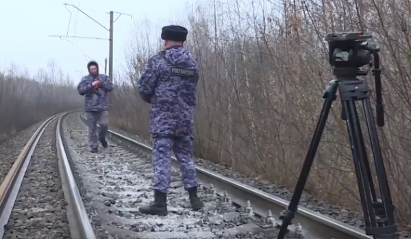 По факту схода вагонов под Рязанью организована доследственная проверка