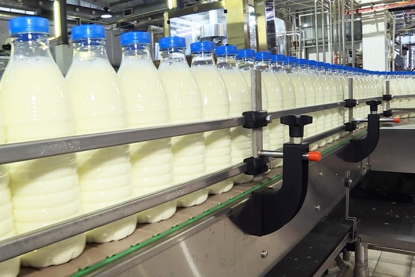 Производители молочной продукции региона получат дополнительную поддержку в 36 млн рублей