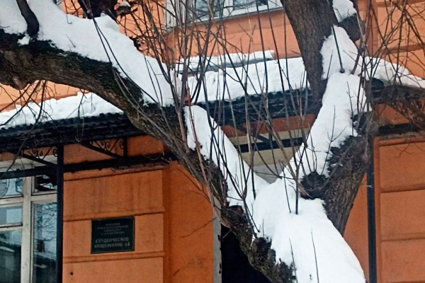 Завтра воздух прогреется до +4°С