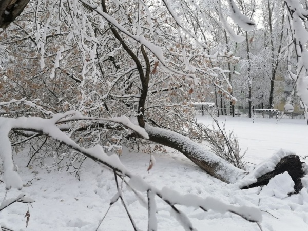 В Рязани устраняют последствия сильного снегопада