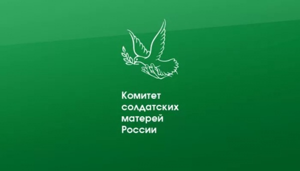 Наталья Минаева: «Наше Правительство поддерживает тех, кто защищает Родину»