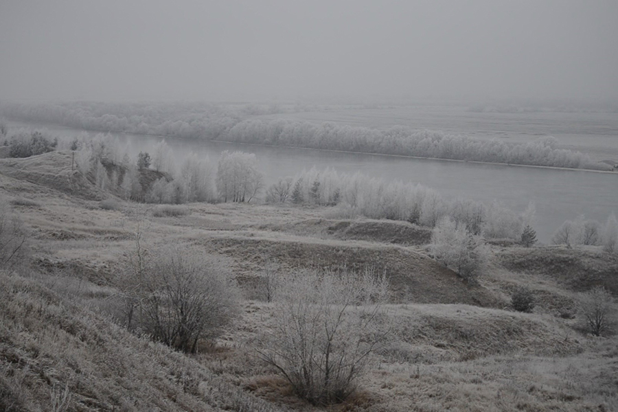 Погода на 10 дней рязанская