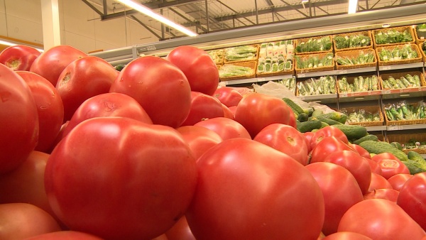 В Рязанской области совершенствуются процедуры закупок продуктов питания для учреждений соцсферы