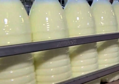 В регионе утилизировали 250 кг молока неизвестного происхождения