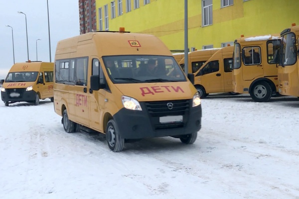 Водителя школьного автобуса, объехавшего пробку по встречке, оштрафовали