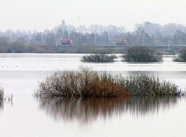 Уровень воды в черте Рязани превысил отметку в 3 метра