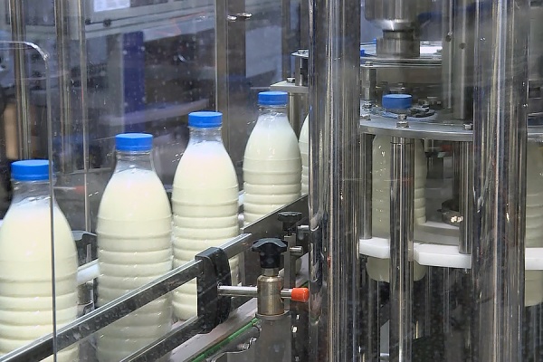 В Рязанской области на 7,5% увеличилось производство пищевых продуктов