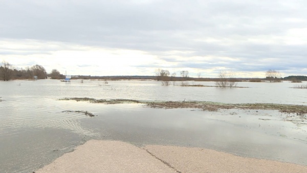 В районе Борки от воды освободился один приусадебный участок 