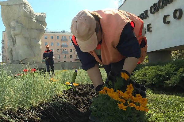 Из-за погоды в Рязани приостановили высадку цветов на клумбы