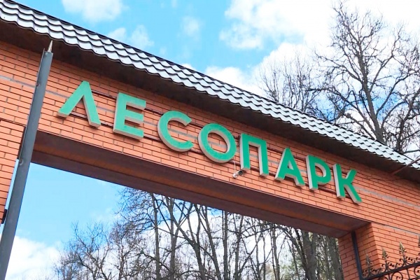 Рязанцев приглашают участвовать в Гонке ГТО (6+)