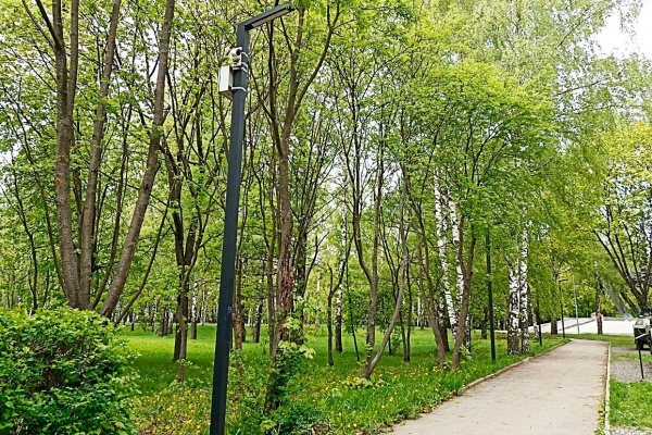 Жителей Рязани просят в течение суток не посещать городские парки