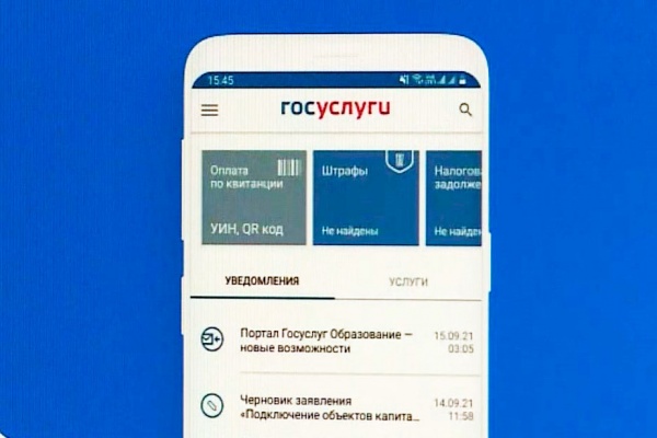 Около 800 тысяч рязанцев пользуются порталом Госуслуг