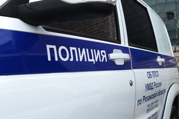 Рязанские полицейские задержали двоих мужчин за серию квартирных краж