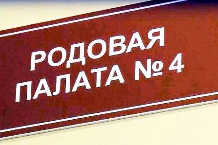 В Рязани родилась двойня весом более 6,3 кг