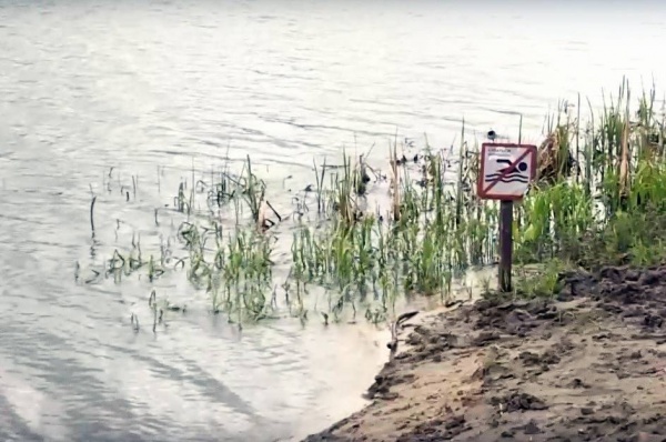 С начала купального сезона в регионе утонули трое взрослых и один ребенок