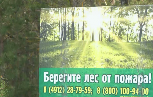 С 1 апреля в регионе возбуждено 73 дела за сжигание сухой травы и мусора