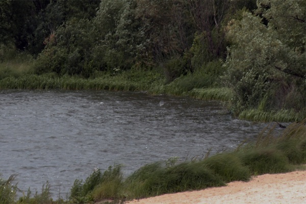 10 человек погибли на воде с начала купального сезона 