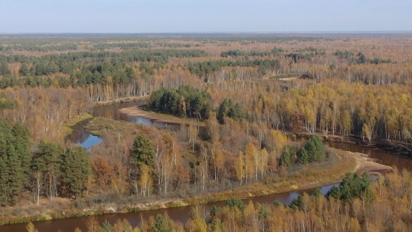 До +25°С завтра ожидается в Рязанской области