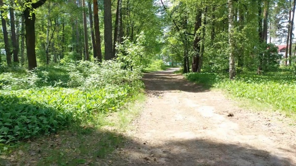 В регионе разработали концепцию развития «Тропы Паустовского» 
