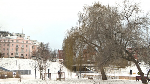 Завтра днем в Рязанской области ожидается +3°С