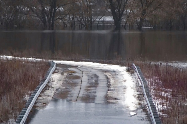 Жители Пронского района спасли тонущего в водохранилище мальчика