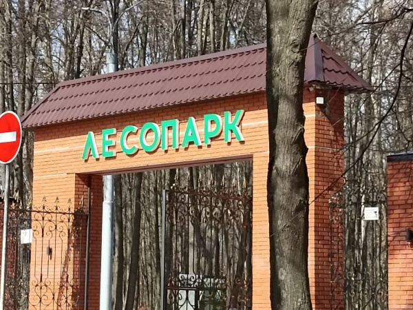 Организовать экопарковку планируют у Лесопарка