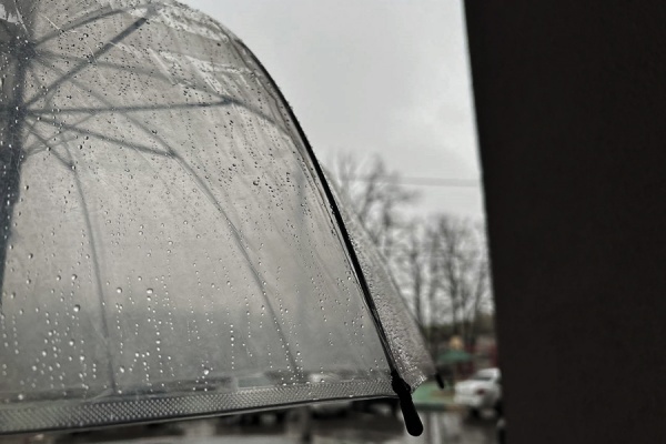 Завтра в регионе ожидается до +7°С