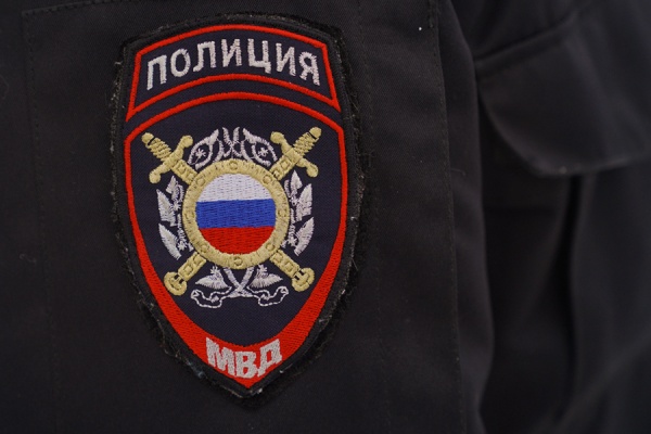 В Михайлове задержали двух женщин-воровок
