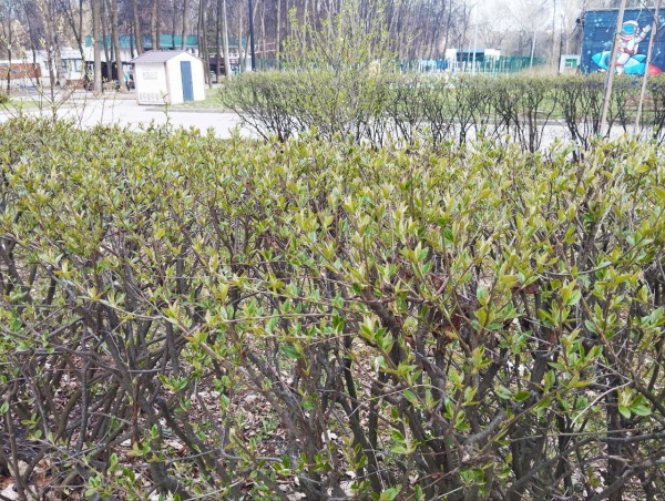 Завтра в регионе воздух прогреется до +25°С