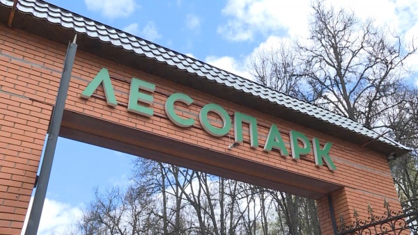 Автомобилистов просят освободить дорогу у Лесопарка в Рязани
