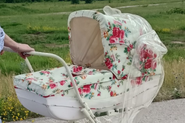 Пересвет и Одиссей родились в Рязанской области