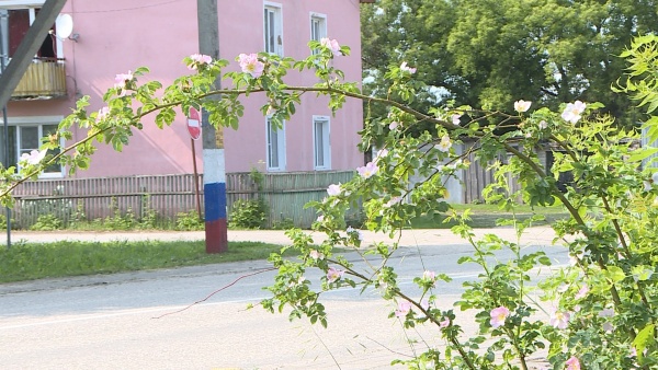 Завтра в регионе ожидается до 24°С
