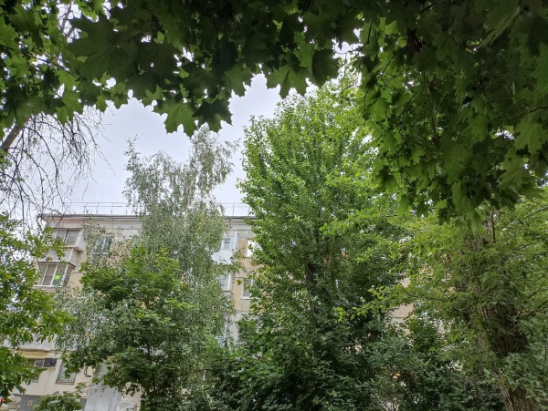 В Рязанской области похолодает