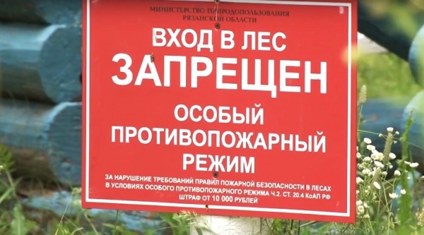 Трех человек оштрафовали за нарушение противопожарного режима в регионе
