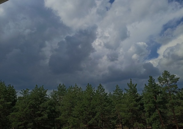 Рязанцев ждет грозовой понедельник
