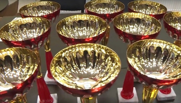 Рязанцы победили в 6 поединках из 7 на турнире по ММА «Битва 930»