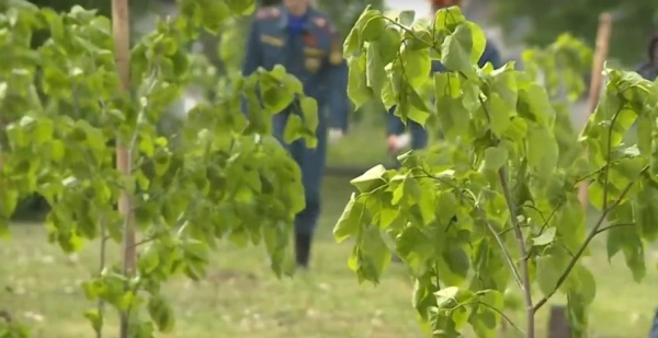 В Рязанском музее открылась выставка «Фотосимфония»