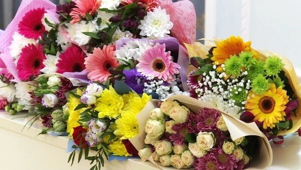 13 молодых рязанцев выиграли гранты на реализацию своих проектов