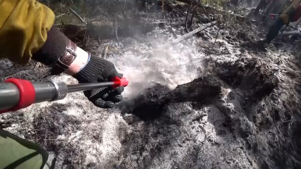 Высокий уровень пожарной опасности в регионе сохранится до 27 сентября