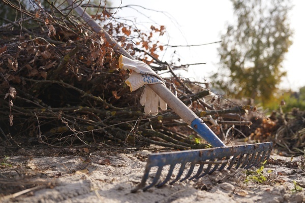 В октябре в Рязани пройдет 4 массовых субботника