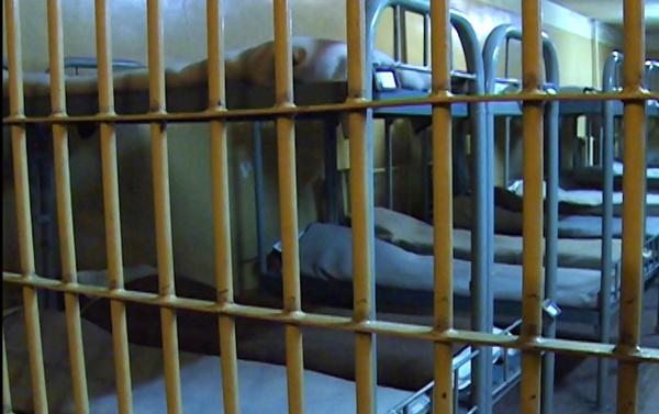 Рязанца арестовали на 7 суток за тонировку автомобиля