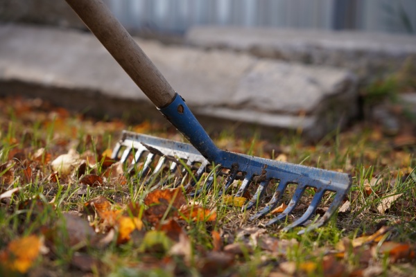 Второй общегородской субботник пройдет в Рязани 11 октября