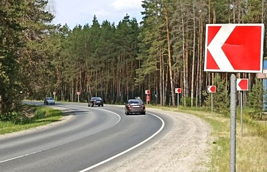 В аварии в Пронском районе погибла женщина